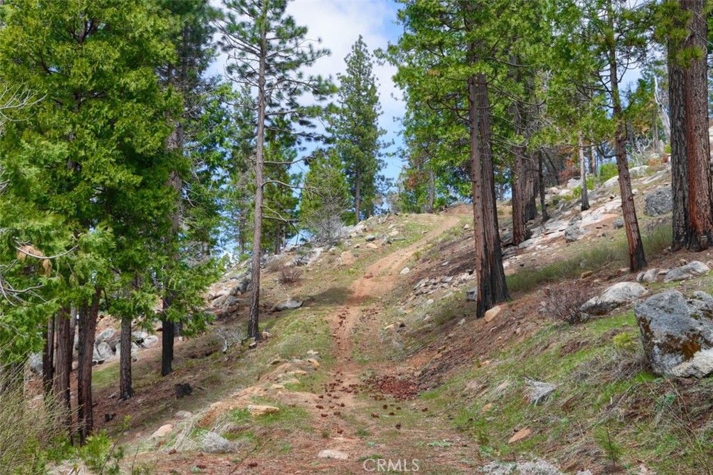 7170 7174 Yosemite Park Way, Yosemite, CA 95389