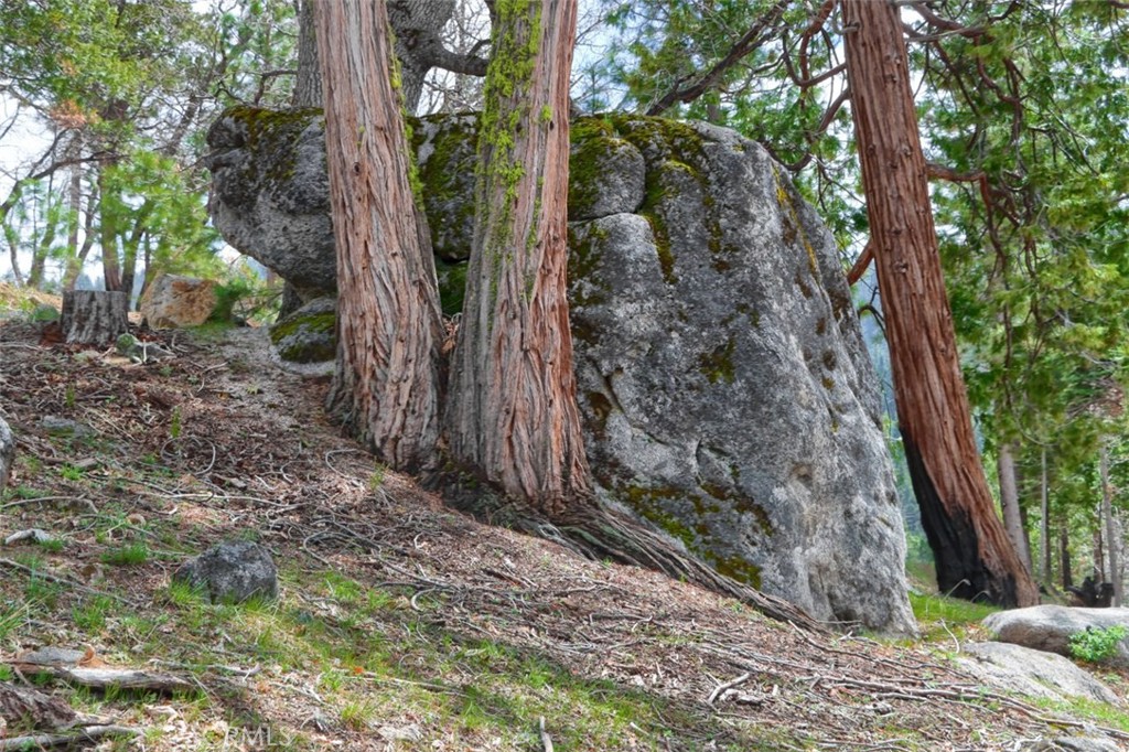 7170 7174 Yosemite Park Way, Yosemite, CA 95389