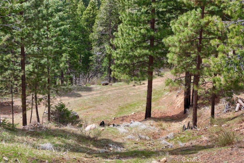 7170 7174 Yosemite Park Way, Yosemite, CA 95389