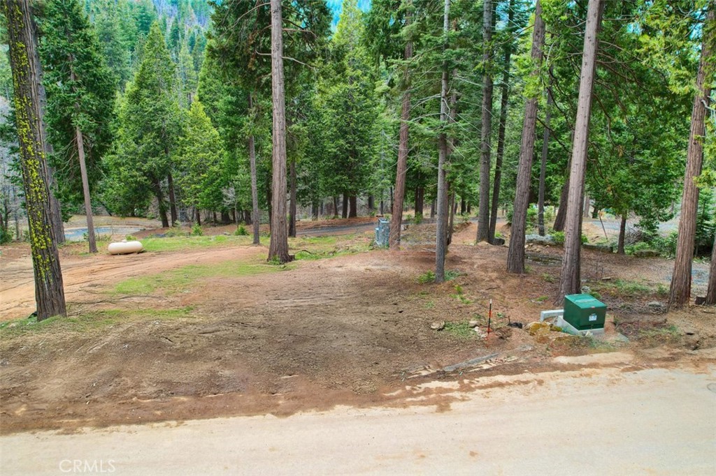 7170 7174 Yosemite Park Way, Yosemite, CA 95389