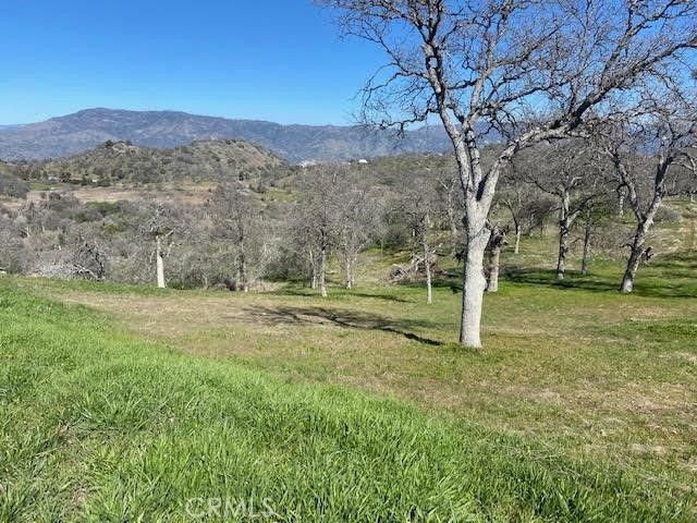 0 APN 190-160-05S, Squaw Valley, CA 93675