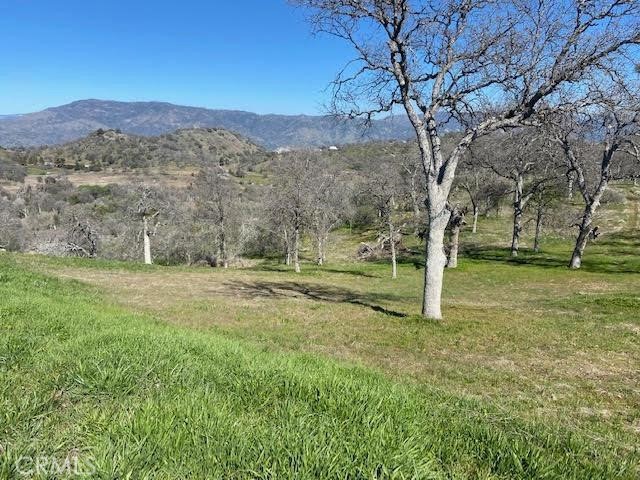 0 APN 190-160-05S, Squaw Valley, CA 93675