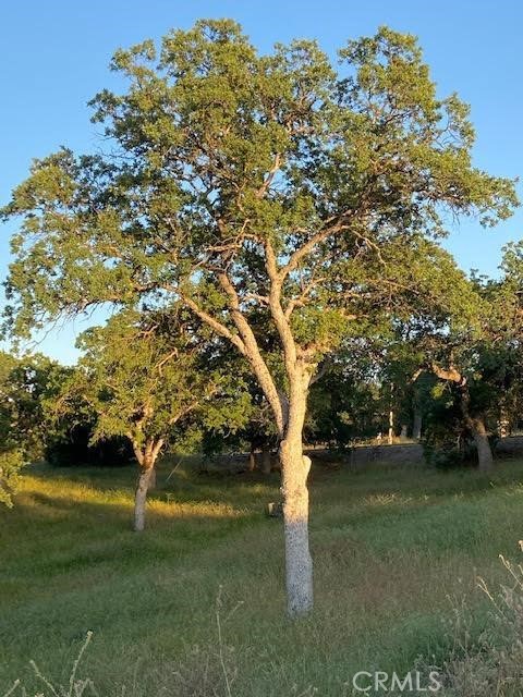 0 APN 190-160-05S, Squaw Valley, CA 93675