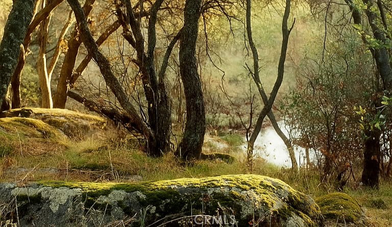 32413 Chickasaw Rd, Coarsegold, CA 93614