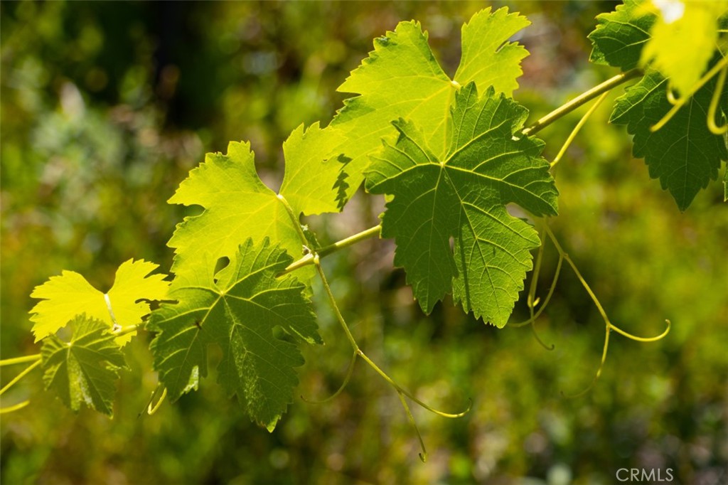 7551 Hunters Valley Rd, Mariposa, CA 95338