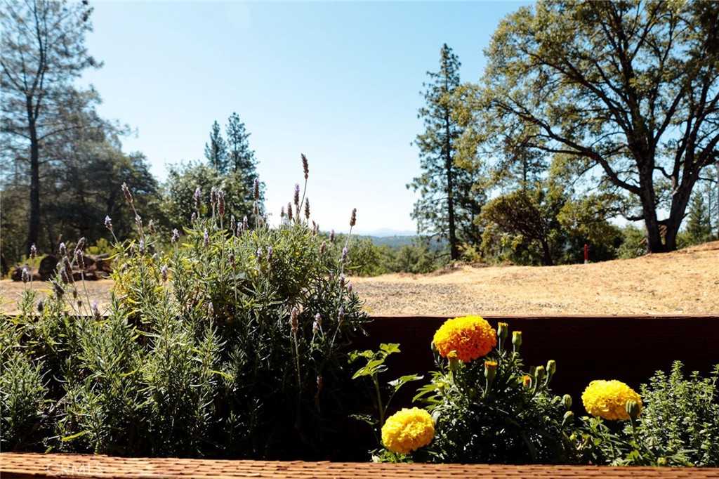 5333 Wilderness View Dr, Mariposa, CA 95338