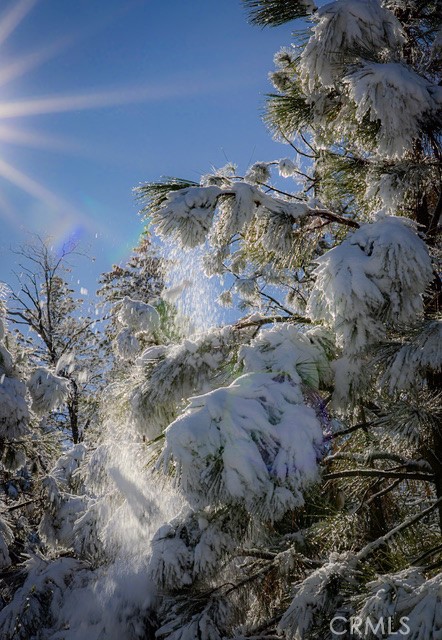 5333 Wilderness View Dr, Mariposa, CA 95338