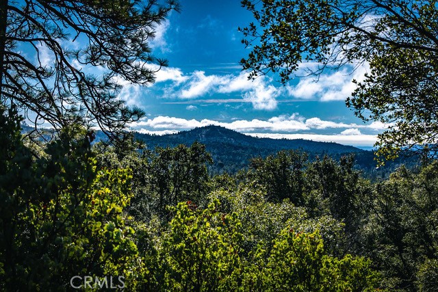 5333 Wilderness View Dr, Mariposa, CA 95338