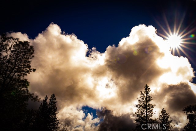 5333 Wilderness View Dr, Mariposa, CA 95338