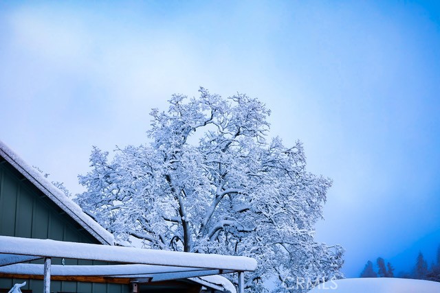 5333 Wilderness View Dr, Mariposa, CA 95338