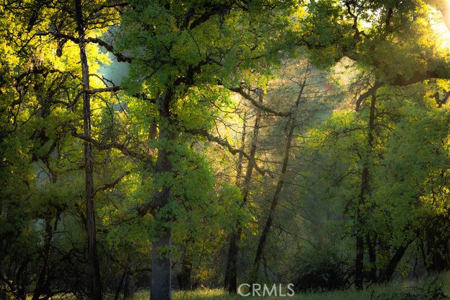 5333 Wilderness View Dr, Mariposa, CA 95338