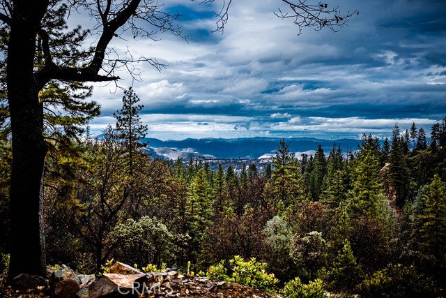 5333 Wilderness View Dr, Mariposa, CA 95338