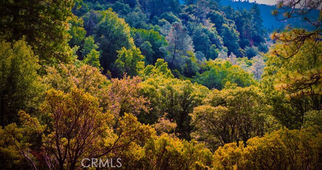 5333 Wilderness View Dr, Mariposa, CA 95338