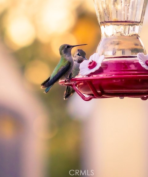 5333 Wilderness View Dr, Mariposa, CA 95338