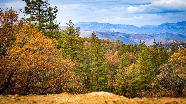 5333 Wilderness View Dr, Mariposa, CA 95338