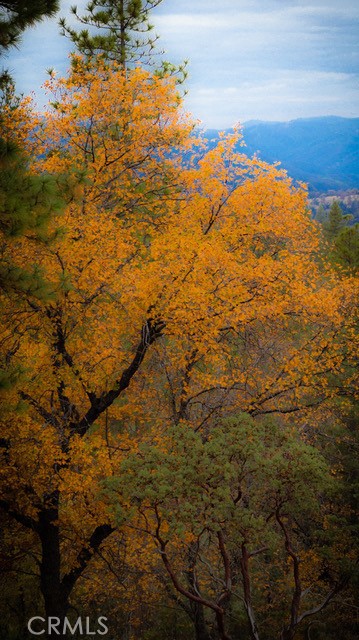 5333 Wilderness View Dr, Mariposa, CA 95338