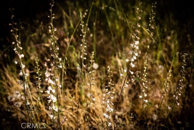 5333 Wilderness View Dr, Mariposa, CA 95338