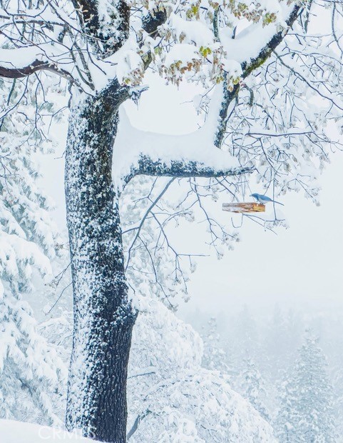 5333 Wilderness View Dr, Mariposa, CA 95338