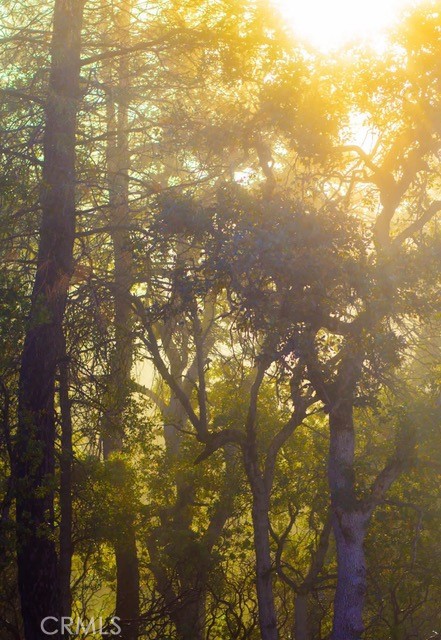 5333 Wilderness View Dr, Mariposa, CA 95338