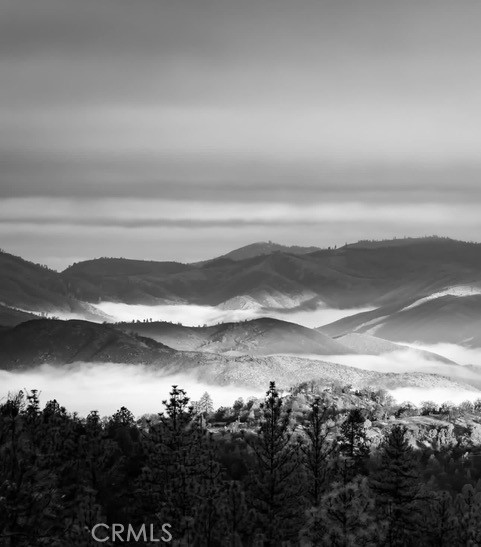 5333 Wilderness View Dr, Mariposa, CA 95338