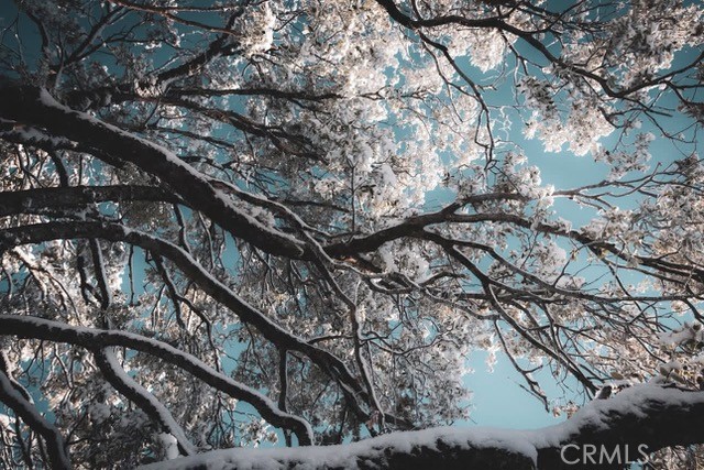 5333 Wilderness View Dr, Mariposa, CA 95338