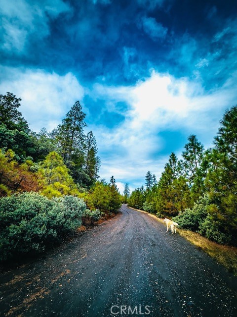 5333 Wilderness View Dr, Mariposa, CA 95338