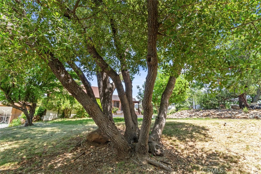 22665 Prospect, Groveland, CA 95321