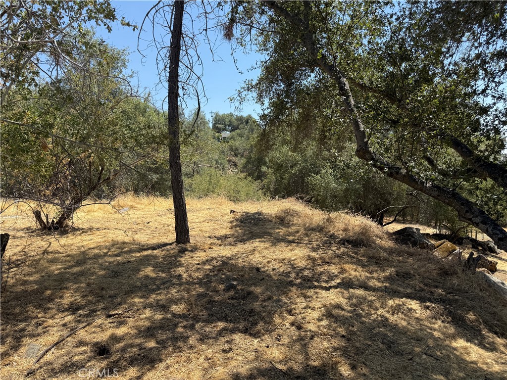 1 N Dome Dr, Coarsegold, CA 93614