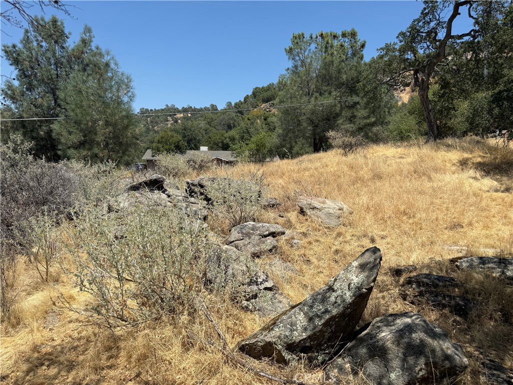 1 N Dome Dr, Coarsegold, CA 93614