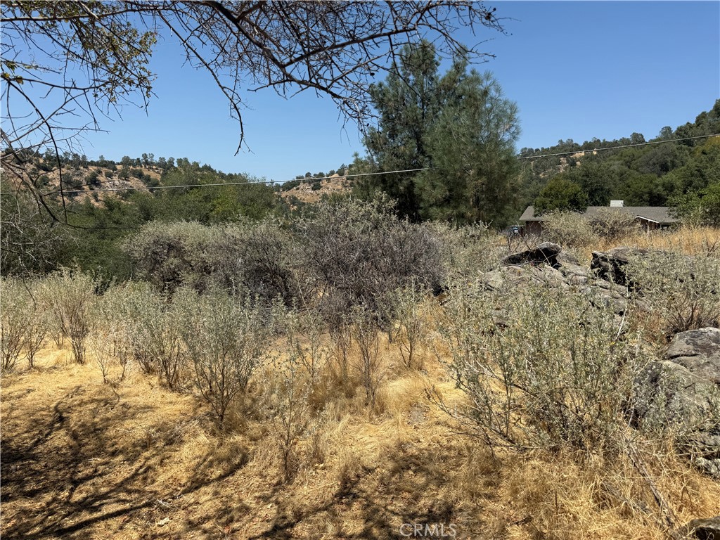 1 N Dome Dr, Coarsegold, CA 93614