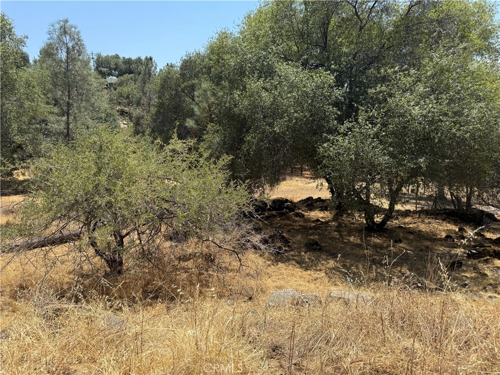 1 N Dome Dr, Coarsegold, CA 93614