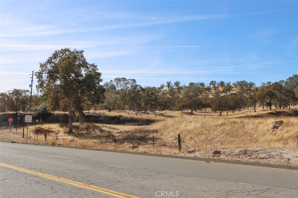 0 1.25 AC Sunflower Ln, O'Neals, CA 93645
