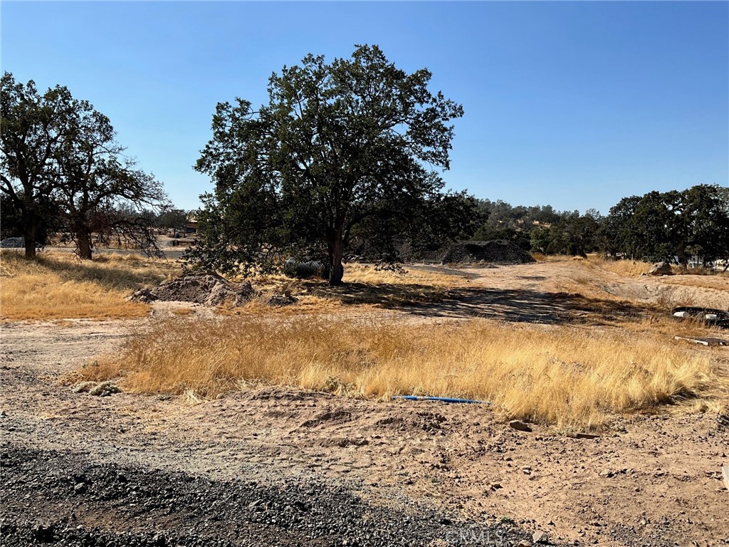 0 .79 AC Sunflower Ln, O'Neals, CA 93645