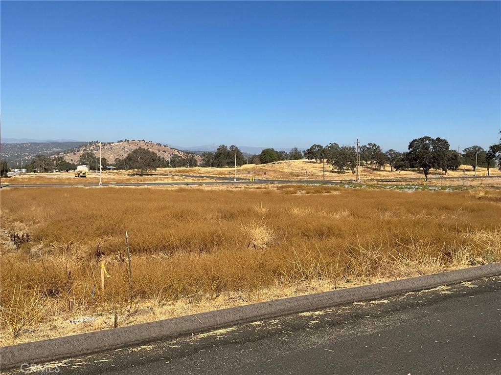 0 .79 AC Sunflower Ln, O'Neals, CA 93645