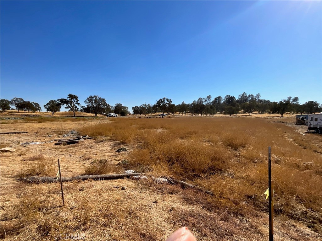 0 .79 AC Sunflower Ln, O'Neals, CA 93645