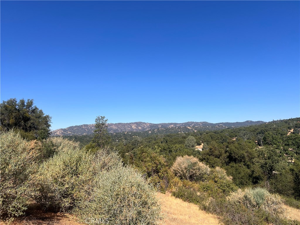 16 Lulniu, Ahwahnee, CA 93601