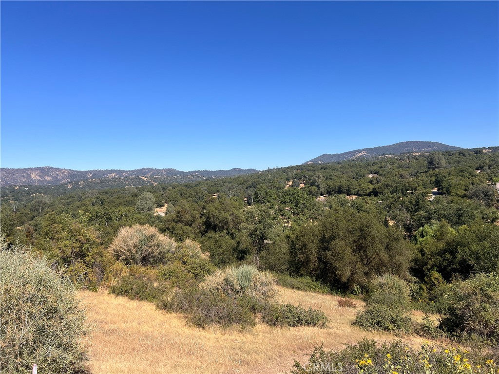 16 Lulniu, Ahwahnee, CA 93601
