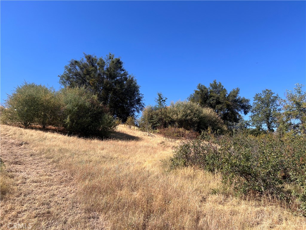 16 Lulniu, Ahwahnee, CA 93601