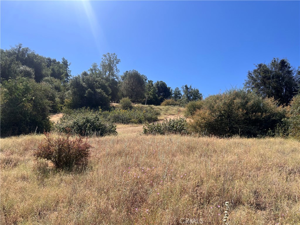 16 Lulniu, Ahwahnee, CA 93601