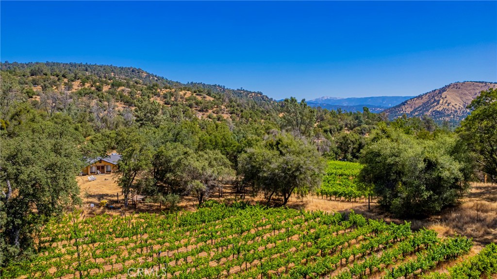 49610 House Ranch Rd, O'Neals, CA 93645