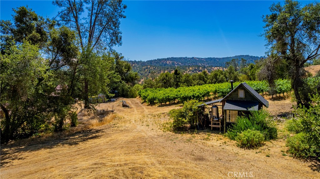 49610 House Ranch Rd, O'Neals, CA 93645