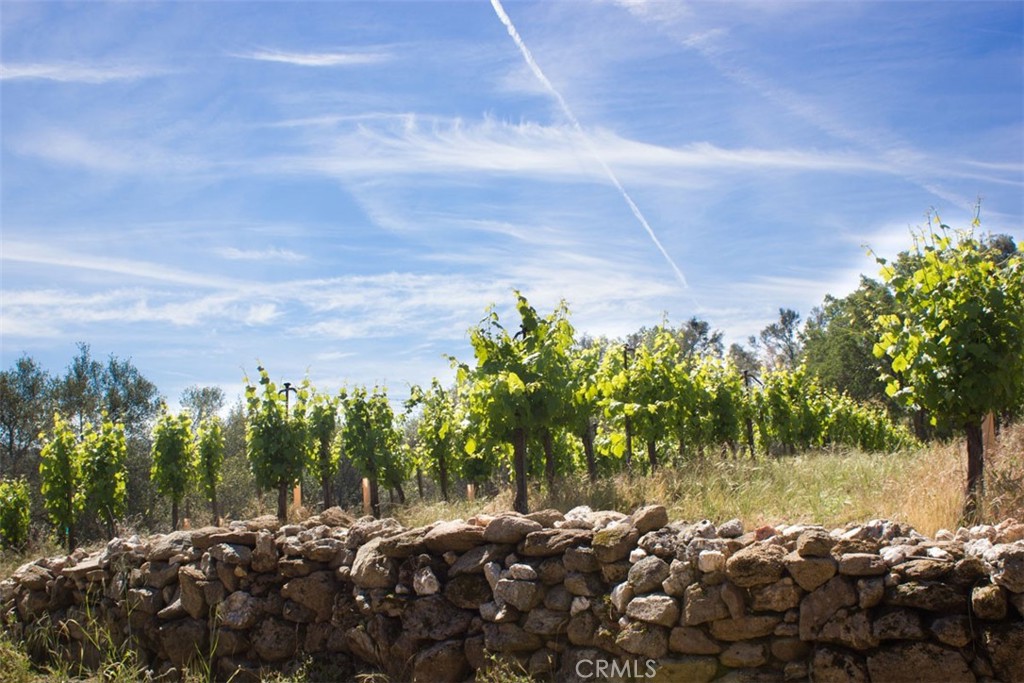 49610 House Ranch Rd, O'Neals, CA 93645