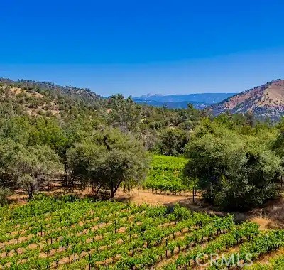 49610 House Ranch Rd, O'Neals, CA 93645