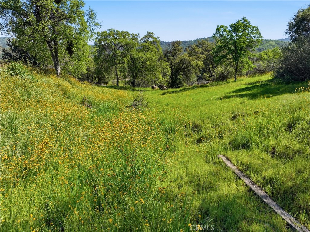 31749 Road 400, Coarsegold, CA 93614