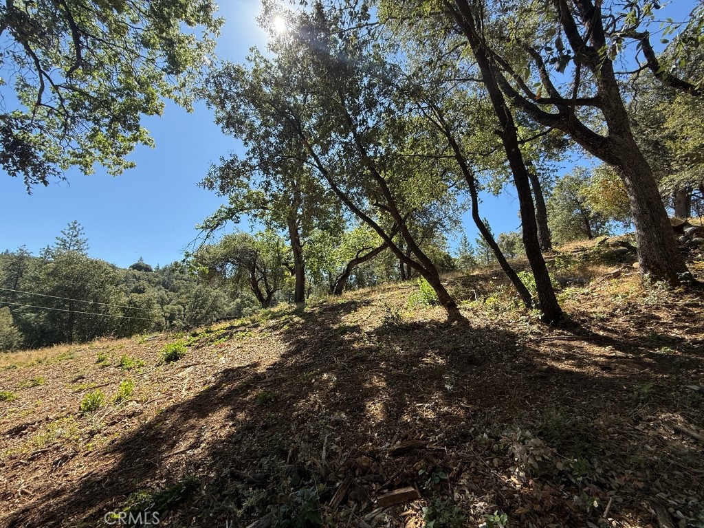 5710 Clouds Rst, Mariposa, CA 95338