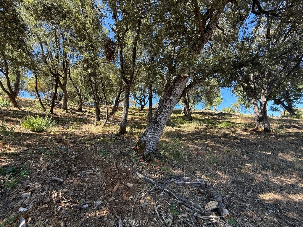 5710 Clouds Rst, Mariposa, CA 95338