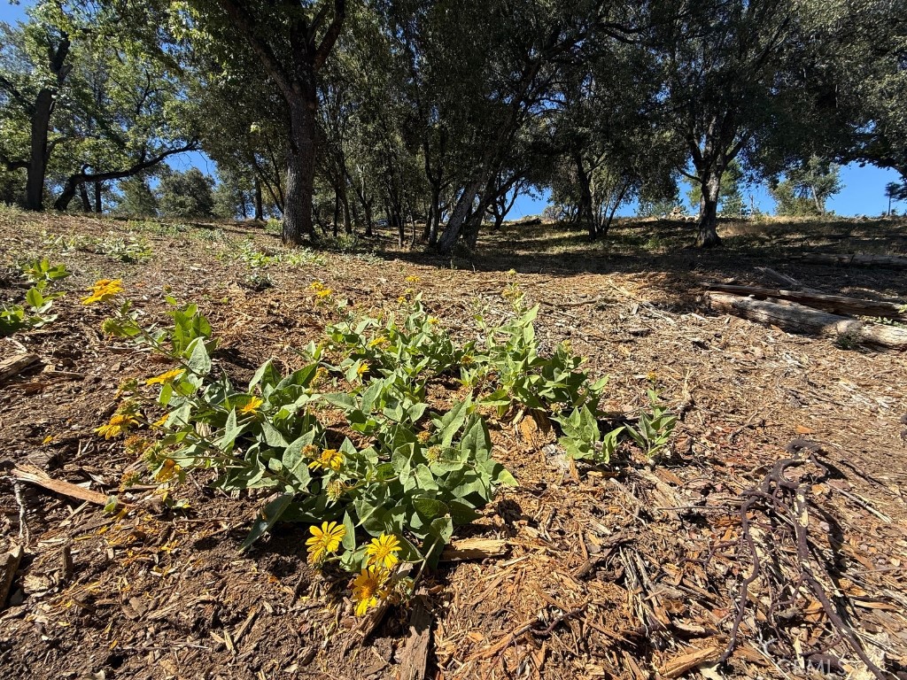5710 Clouds Rst, Mariposa, CA 95338