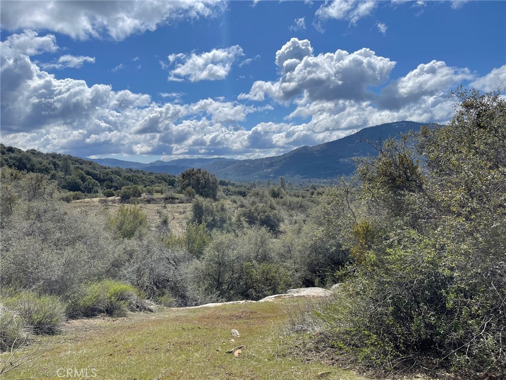 35 Miami Highlands, Oakhurst, CA 93644