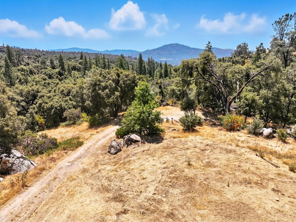 46467 Bissett Station Rd, Ahwahnee, CA 93601