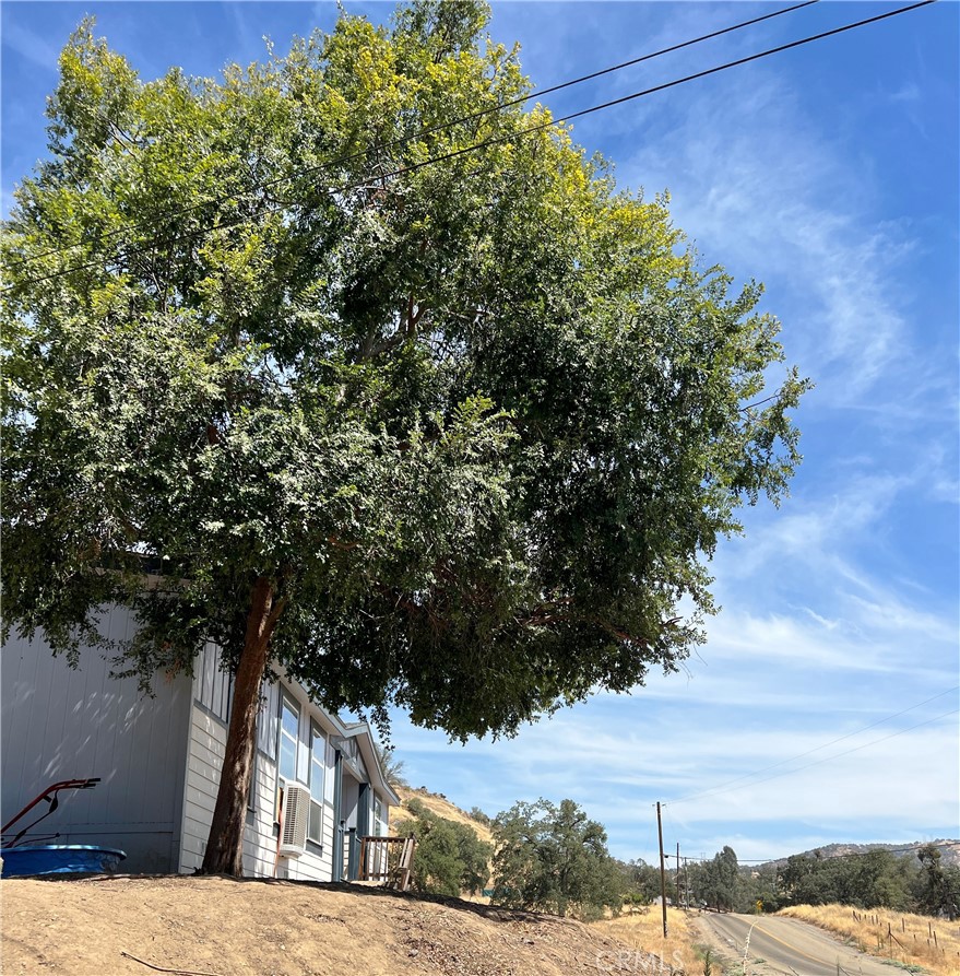 37180 Mistletoe Rd, Squaw Valley, CA 93675